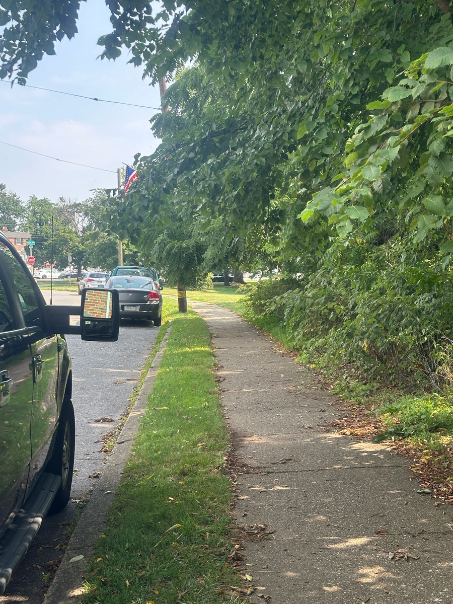 Photographic documentation of the work as submitted to the city's 311 record.