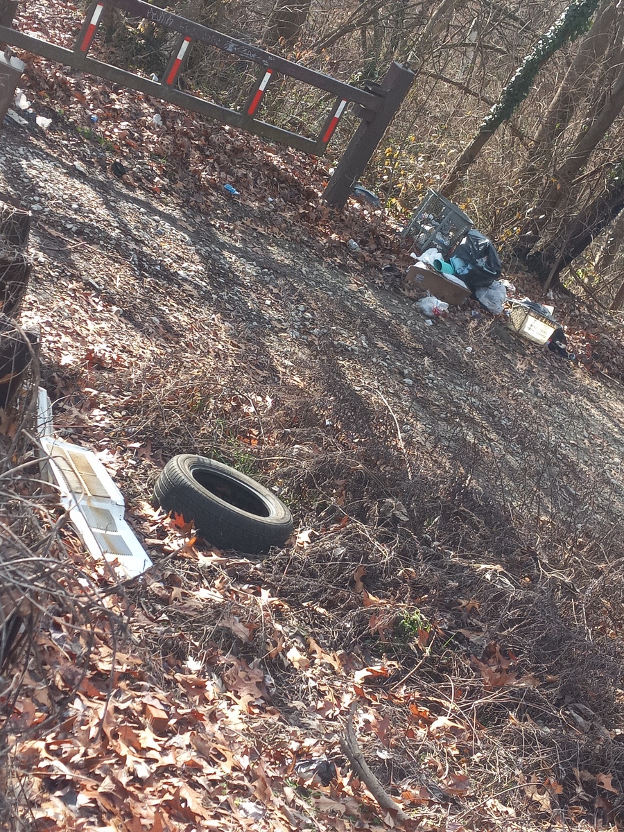 Photographic documentation of the work as submitted to the city's 311 record.