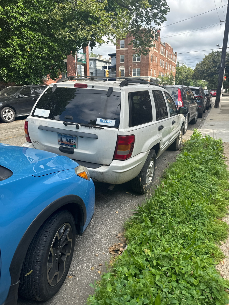 Photographic documentation of the work as submitted to the city's 311 record.