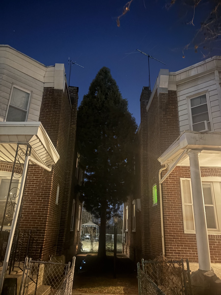 Photographic documentation of the work as submitted to the city's 311 record.