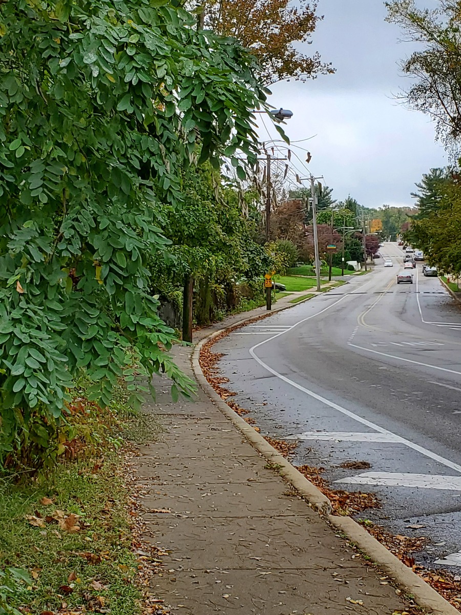 Photographic documentation of the work as submitted to the city's 311 record.