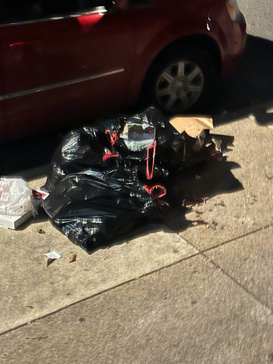 Photographic documentation of the work as submitted to the city's 311 record.