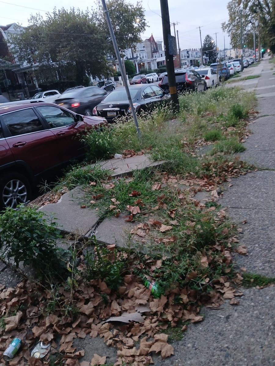 Photographic documentation of the work as submitted to the city's 311 record.