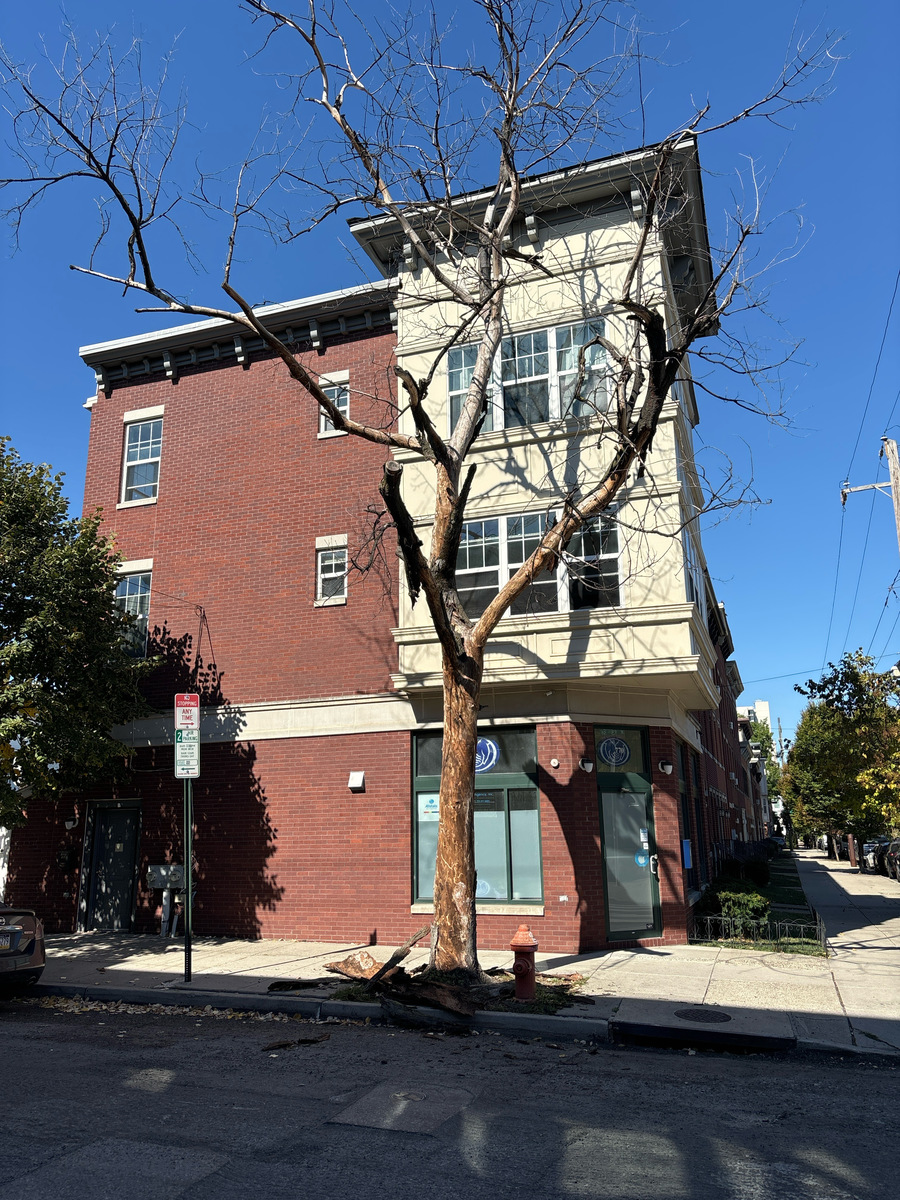 Photographic documentation of the work as submitted to the city's 311 record.