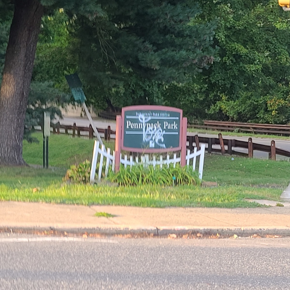 Photographic documentation of the work as submitted to the city's 311 record.
