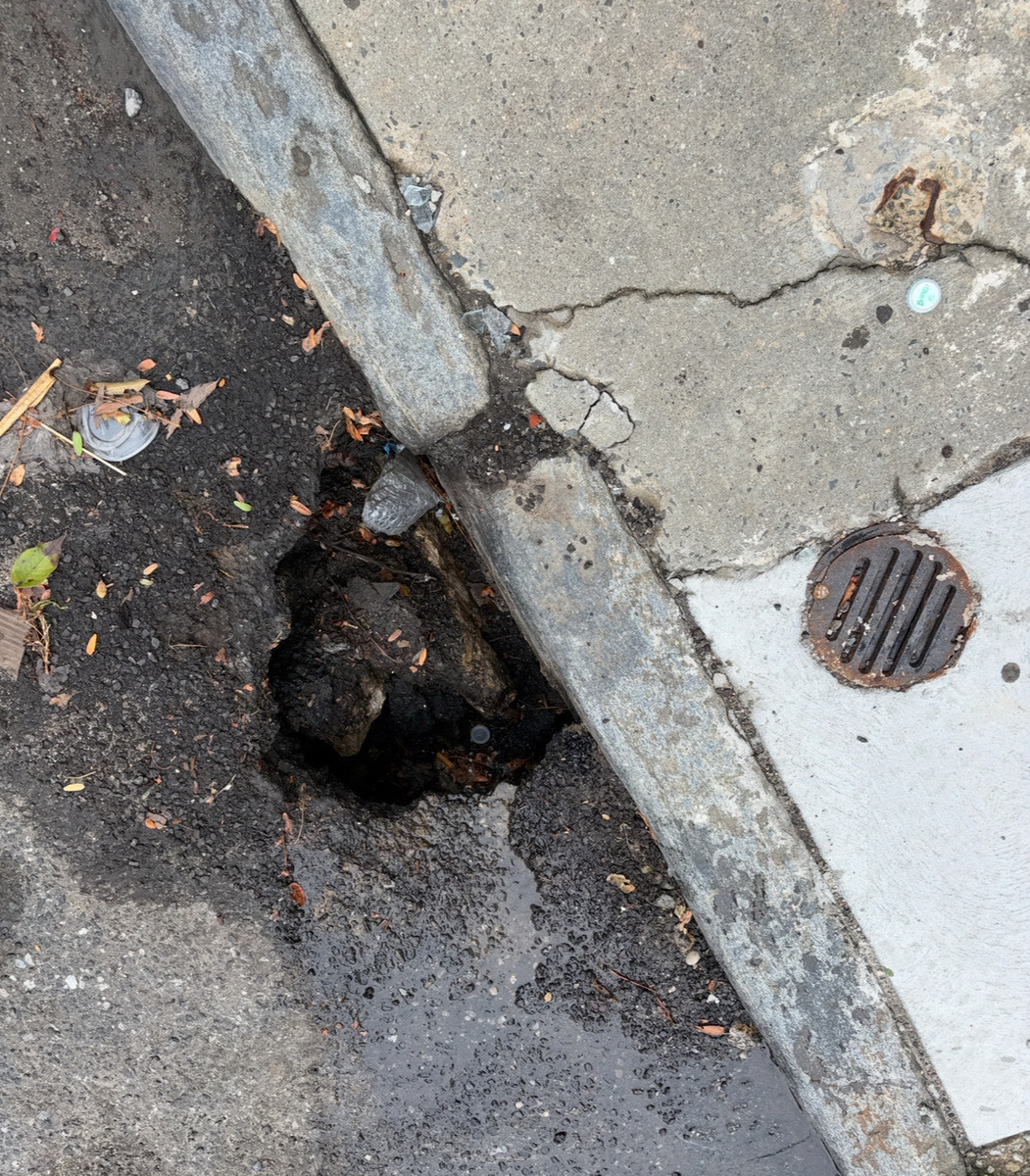 Photographic documentation of the work as submitted to the city's 311 record.