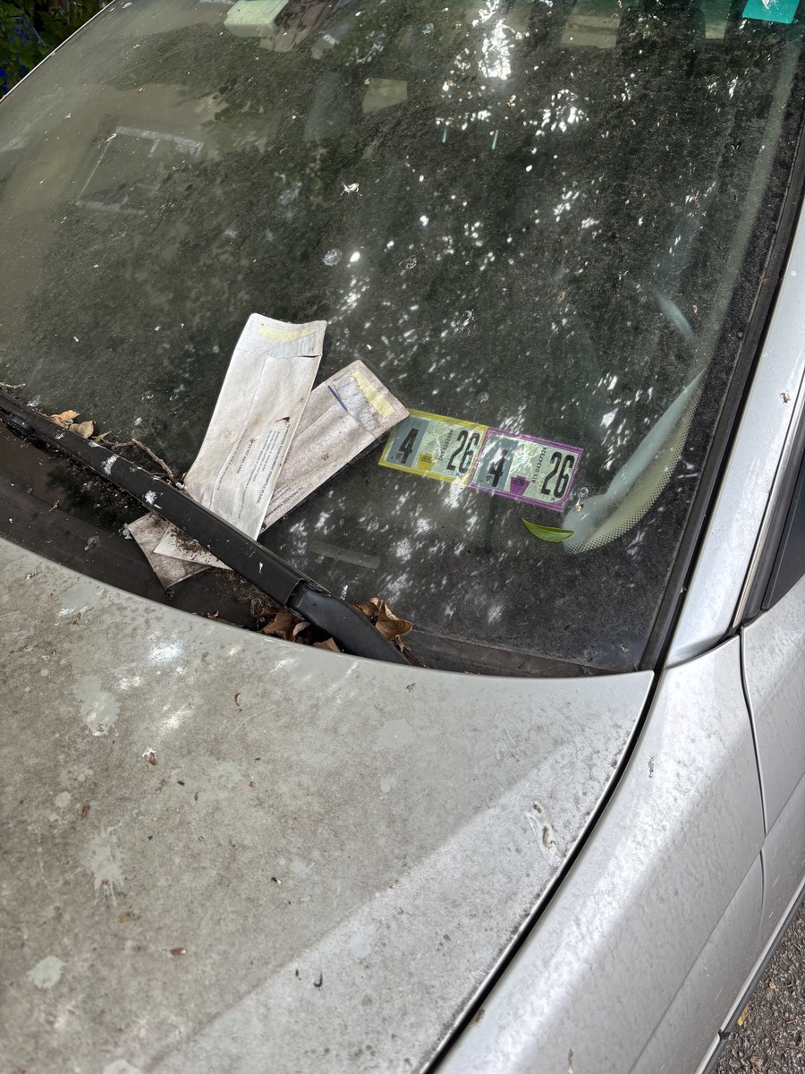 Photographic documentation of the work as submitted to the city's 311 record.