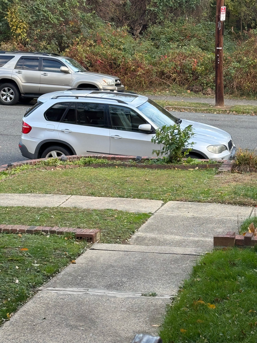 Photographic documentation of the work as submitted to the city's 311 record.