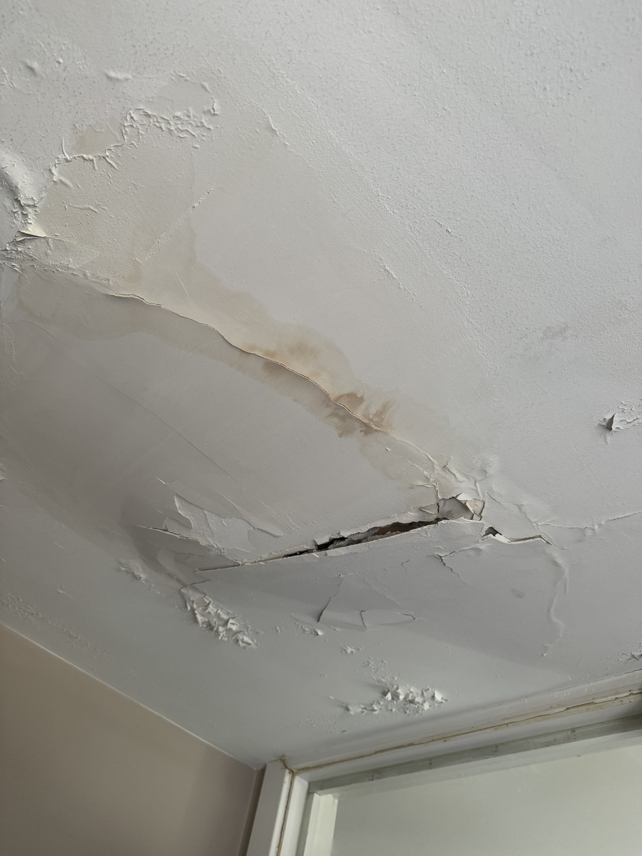 Photographic documentation of the work as submitted to the city's 311 record.