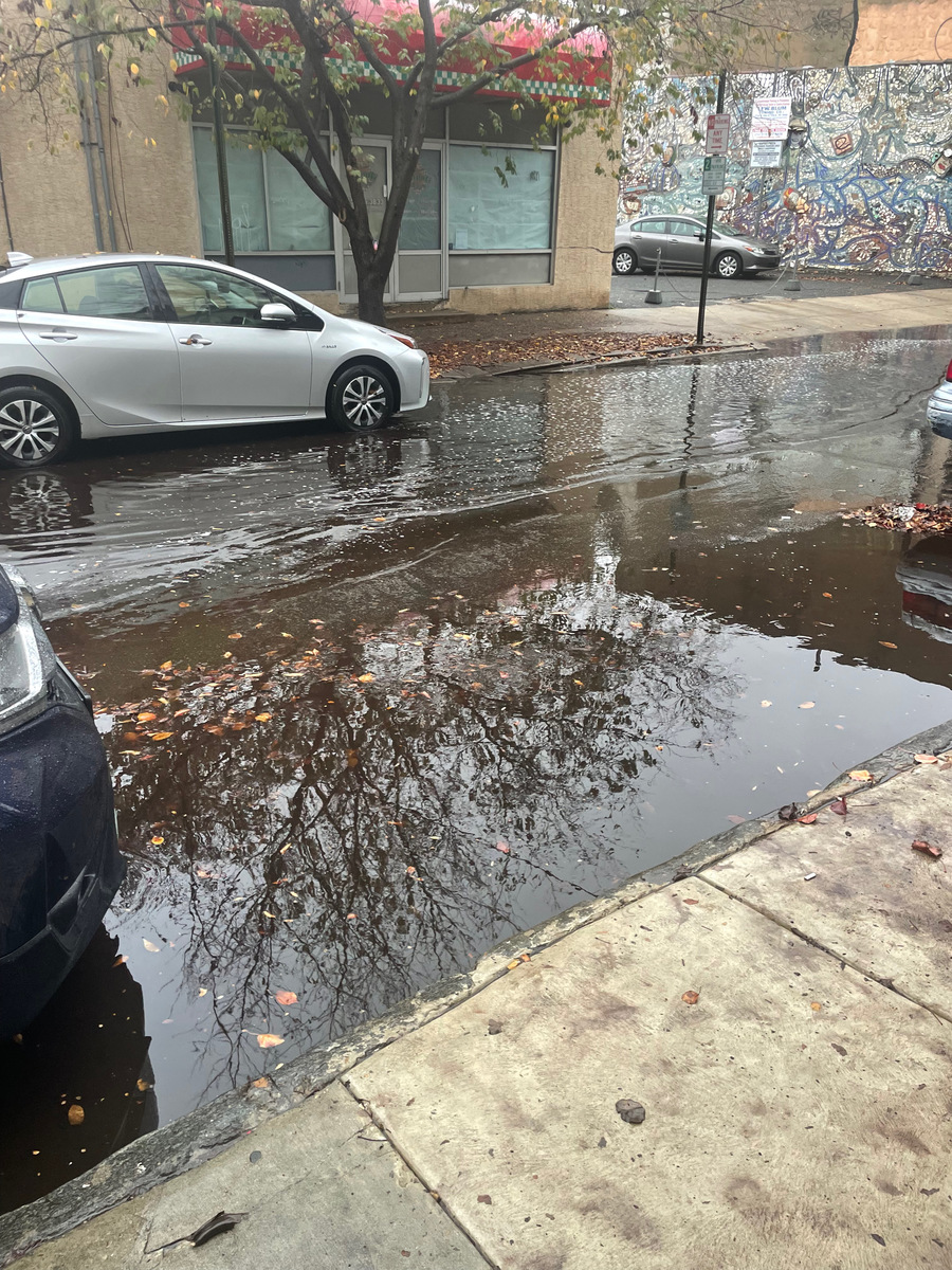 Photographic documentation of the work as submitted to the city's 311 record.
