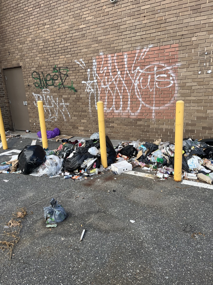 Photographic documentation of the work as submitted to the city's 311 record.