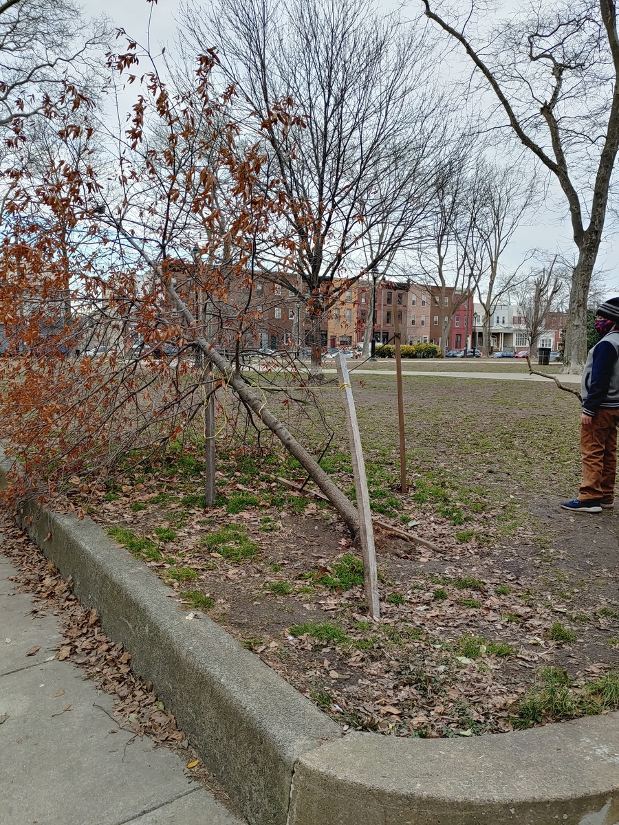Photographic documentation of the work as submitted to the city's 311 record.