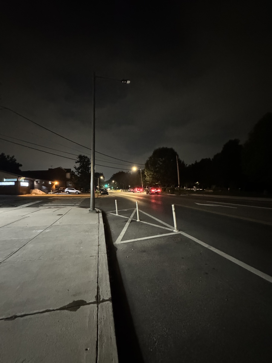 Photographic documentation of the work as submitted to the city's 311 record.
