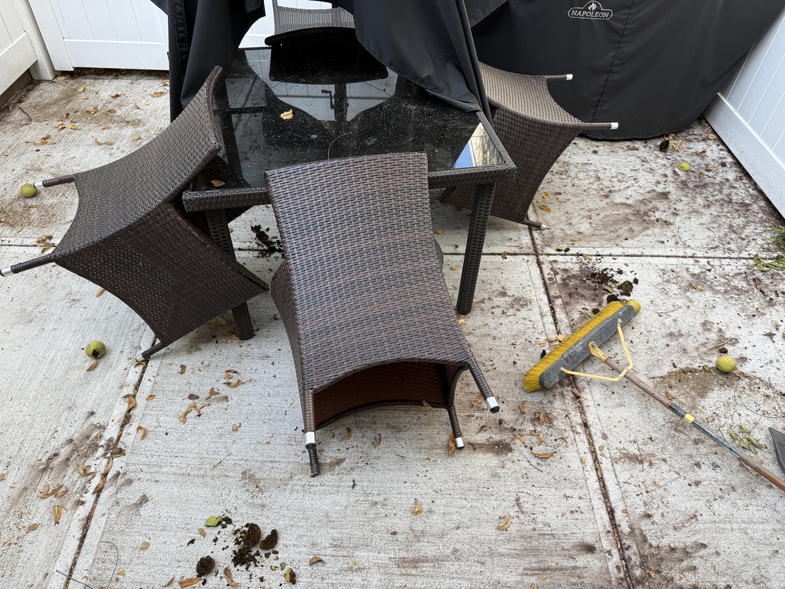 Photographic documentation of the work as submitted to the city's 311 record.