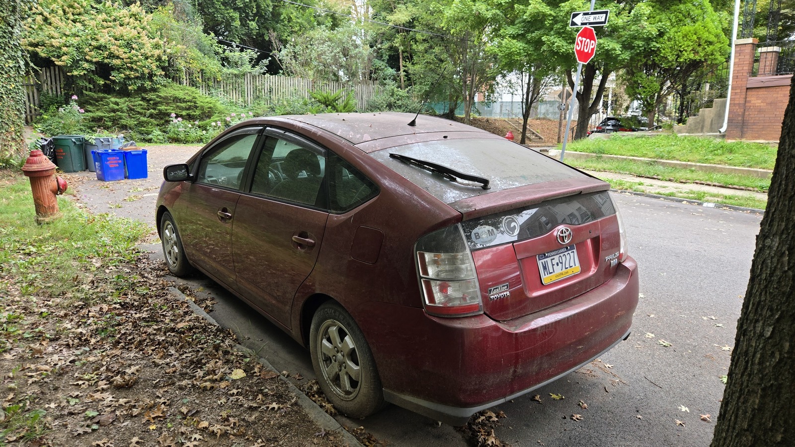 Photographic documentation of the work as submitted to the city's 311 record.