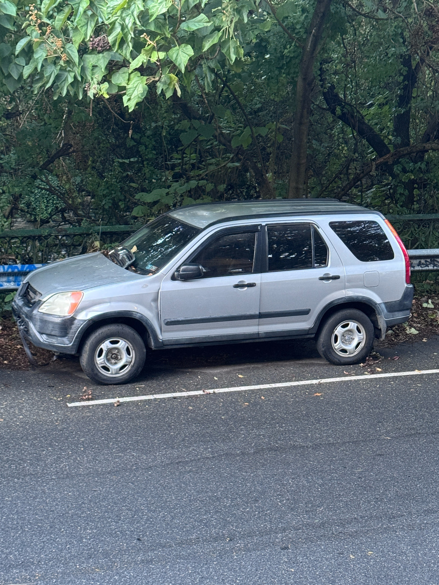 Photographic documentation of the work as submitted to the city's 311 record.