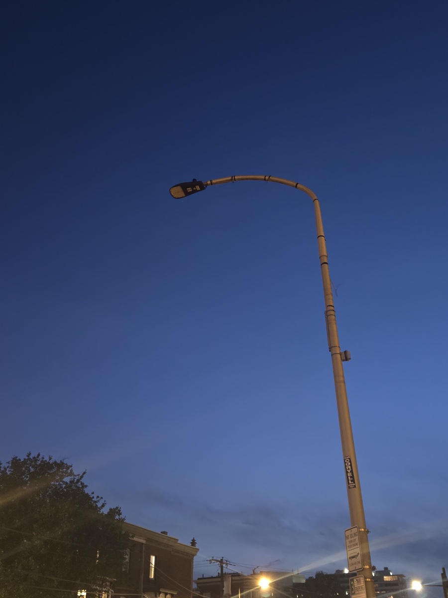 Photographic documentation of the work as submitted to the city's 311 record.
