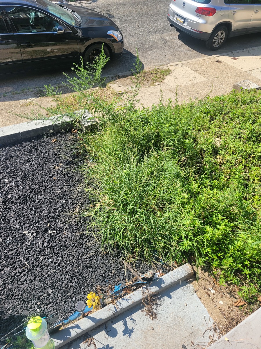 Photographic documentation of the work as submitted to the city's 311 record.