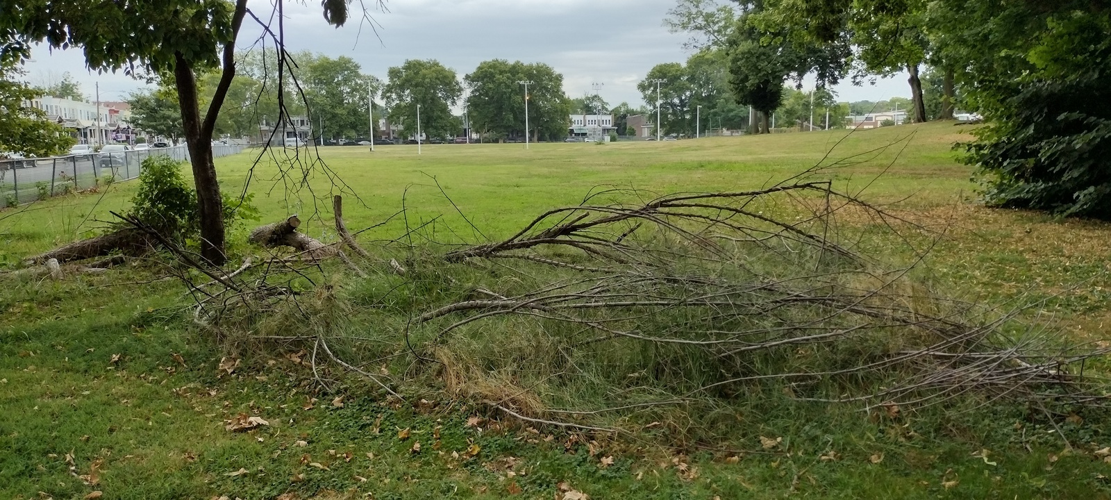 Photographic documentation of the work as submitted to the city's 311 record.