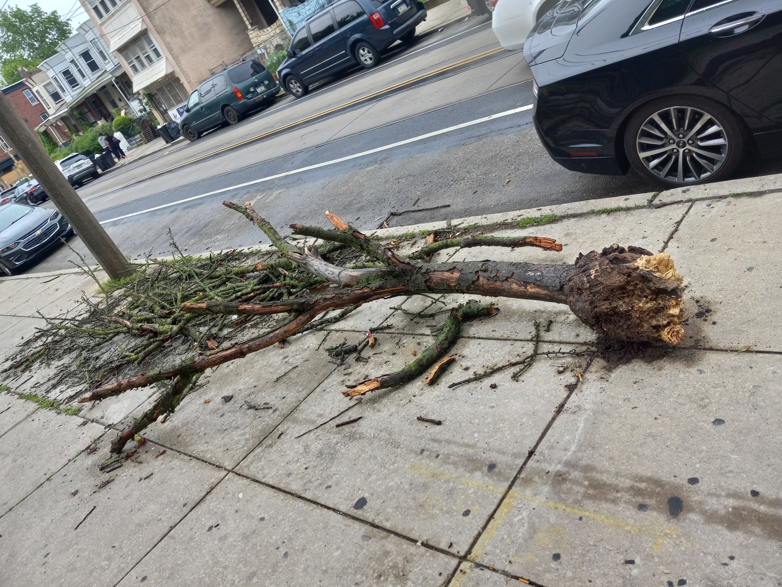 Photographic documentation of the work as submitted to the city's 311 record.