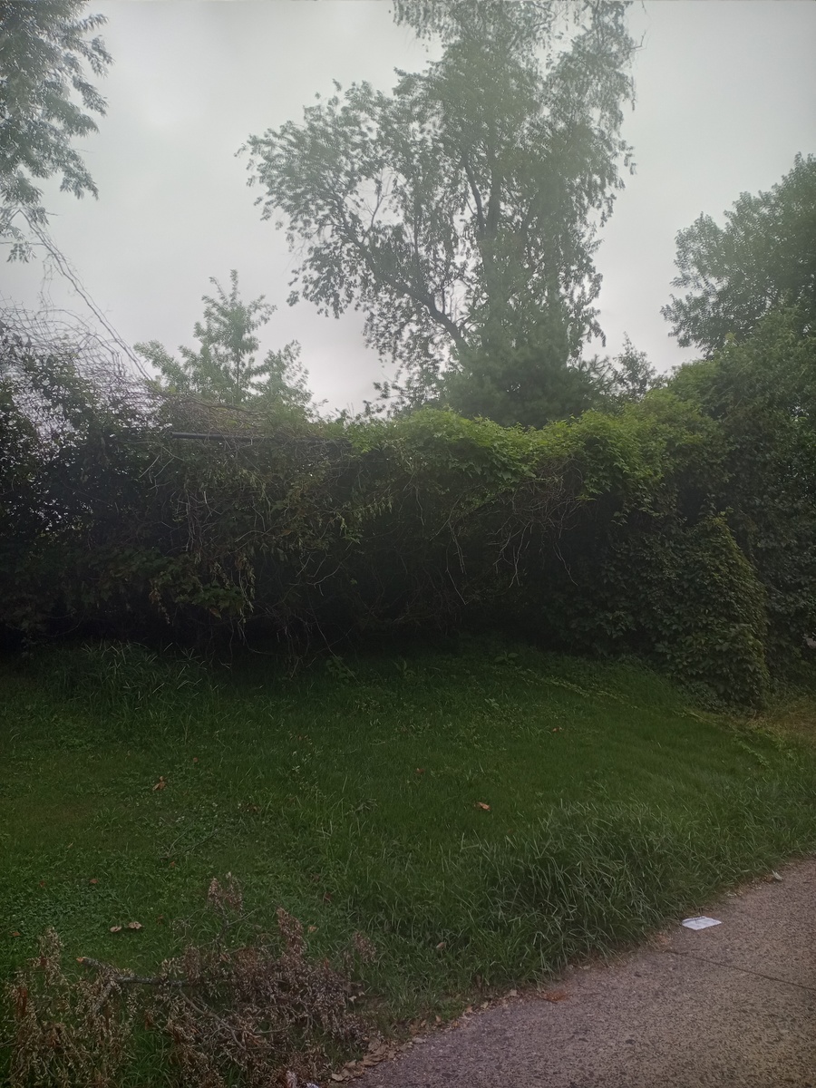 Photographic documentation of the work as submitted to the city's 311 record.