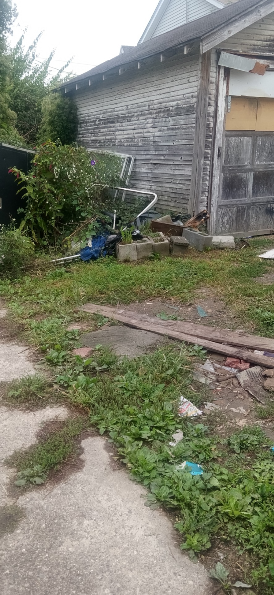 Photographic documentation of the work as submitted to the city's 311 record.