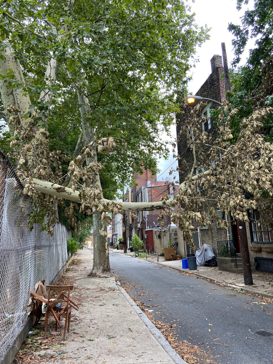 Photographic documentation of the work as submitted to the city's 311 record.