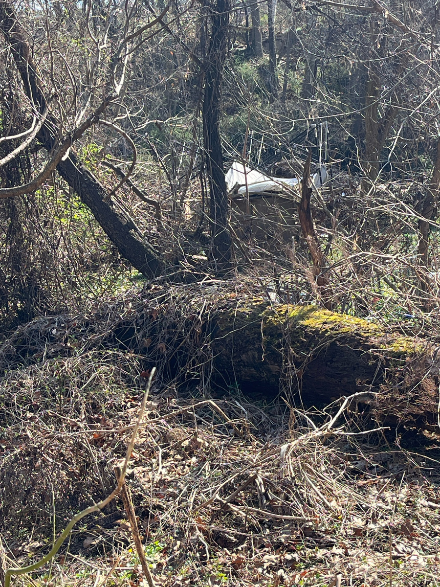 Photographic documentation of the work as submitted to the city's 311 record.