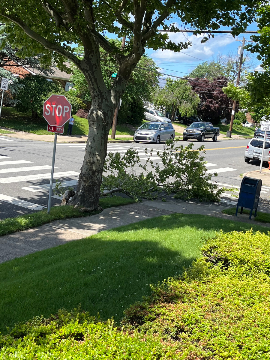 Photographic documentation of the work as submitted to the city's 311 record.