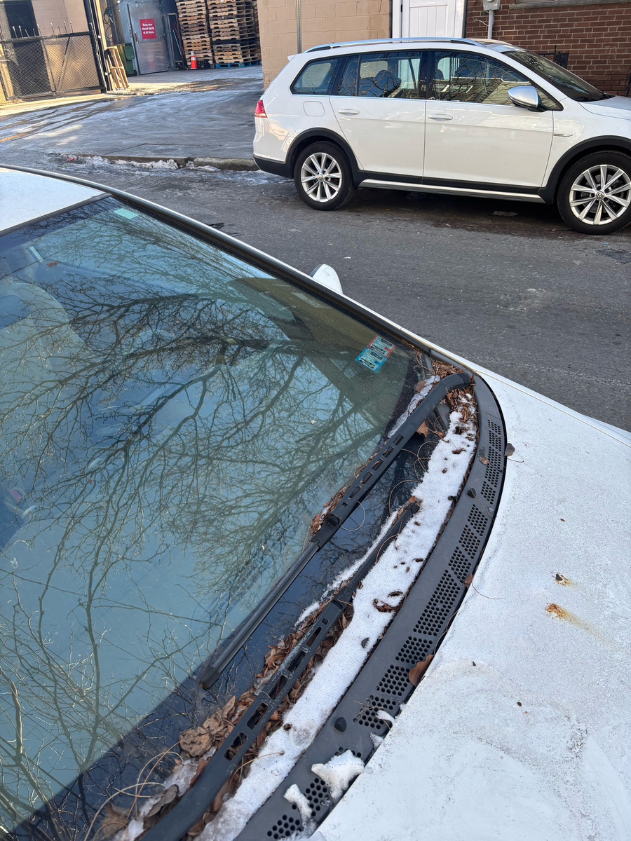 Photographic documentation of the work as submitted to the city's 311 record.