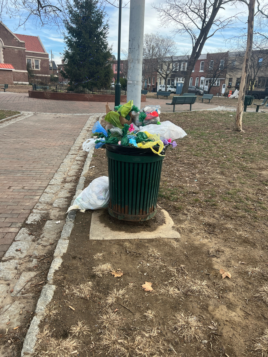 Photographic documentation of the work as submitted to the city's 311 record.