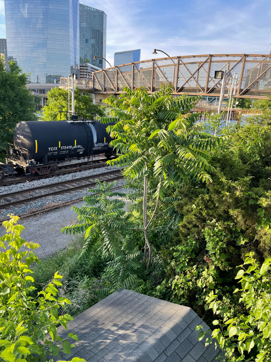 Photographic documentation of the work as submitted to the city's 311 record.