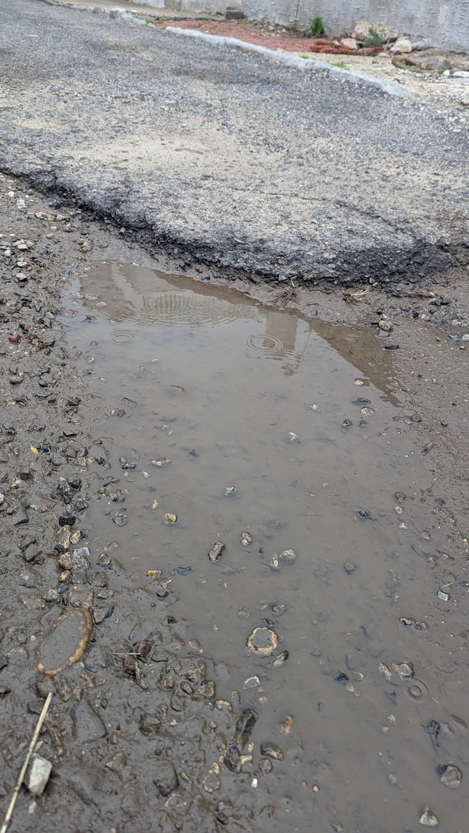 Photographic documentation of the work as submitted to the city's 311 record.