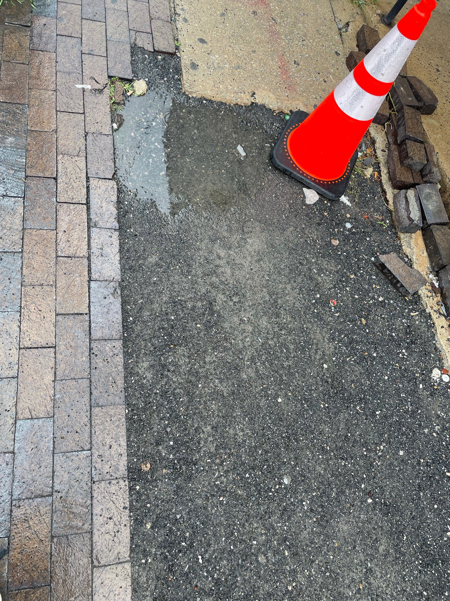 Photographic documentation of the work as submitted to the city's 311 record.