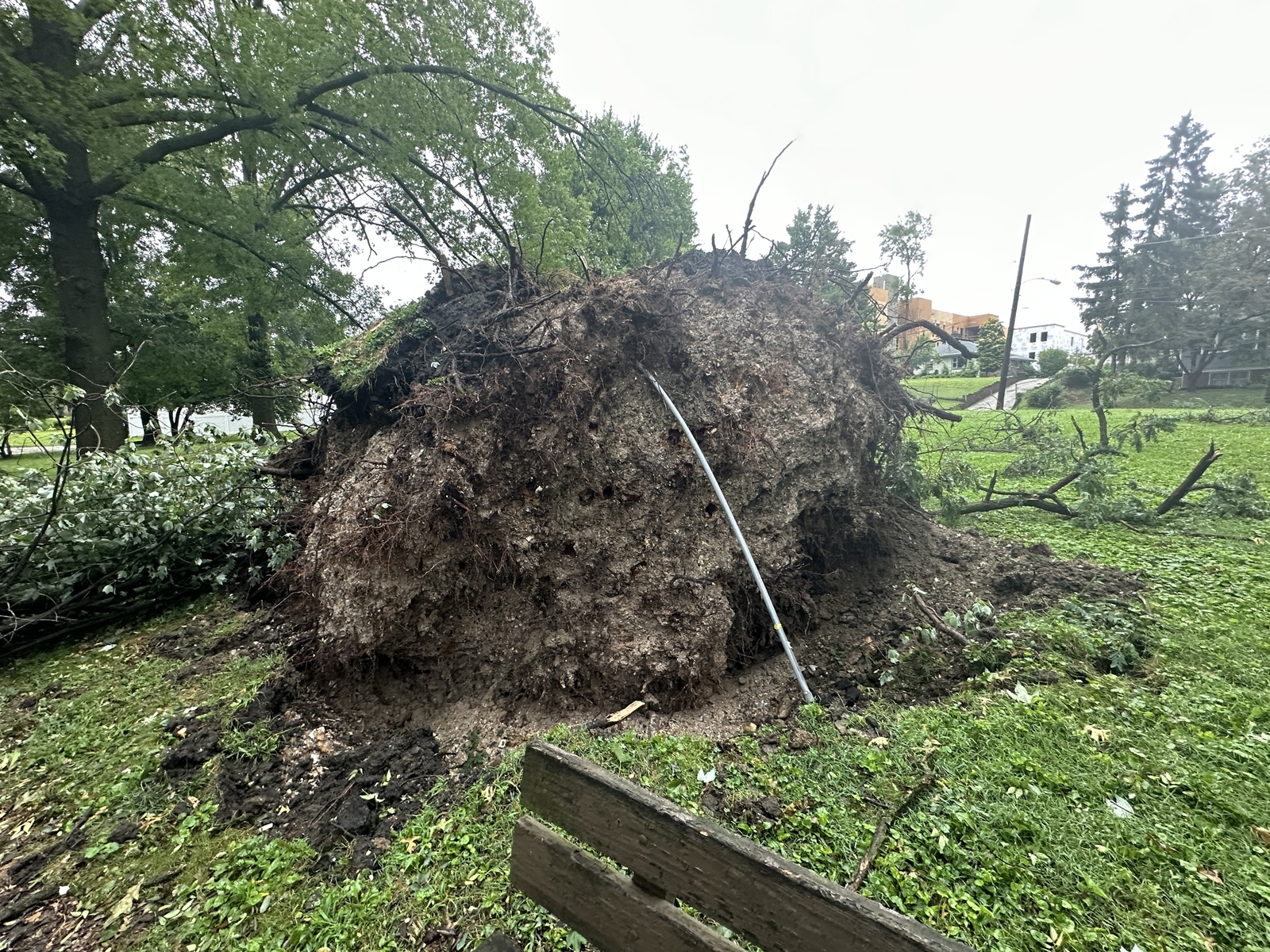 Photographic documentation of the work as submitted to the city's 311 record.
