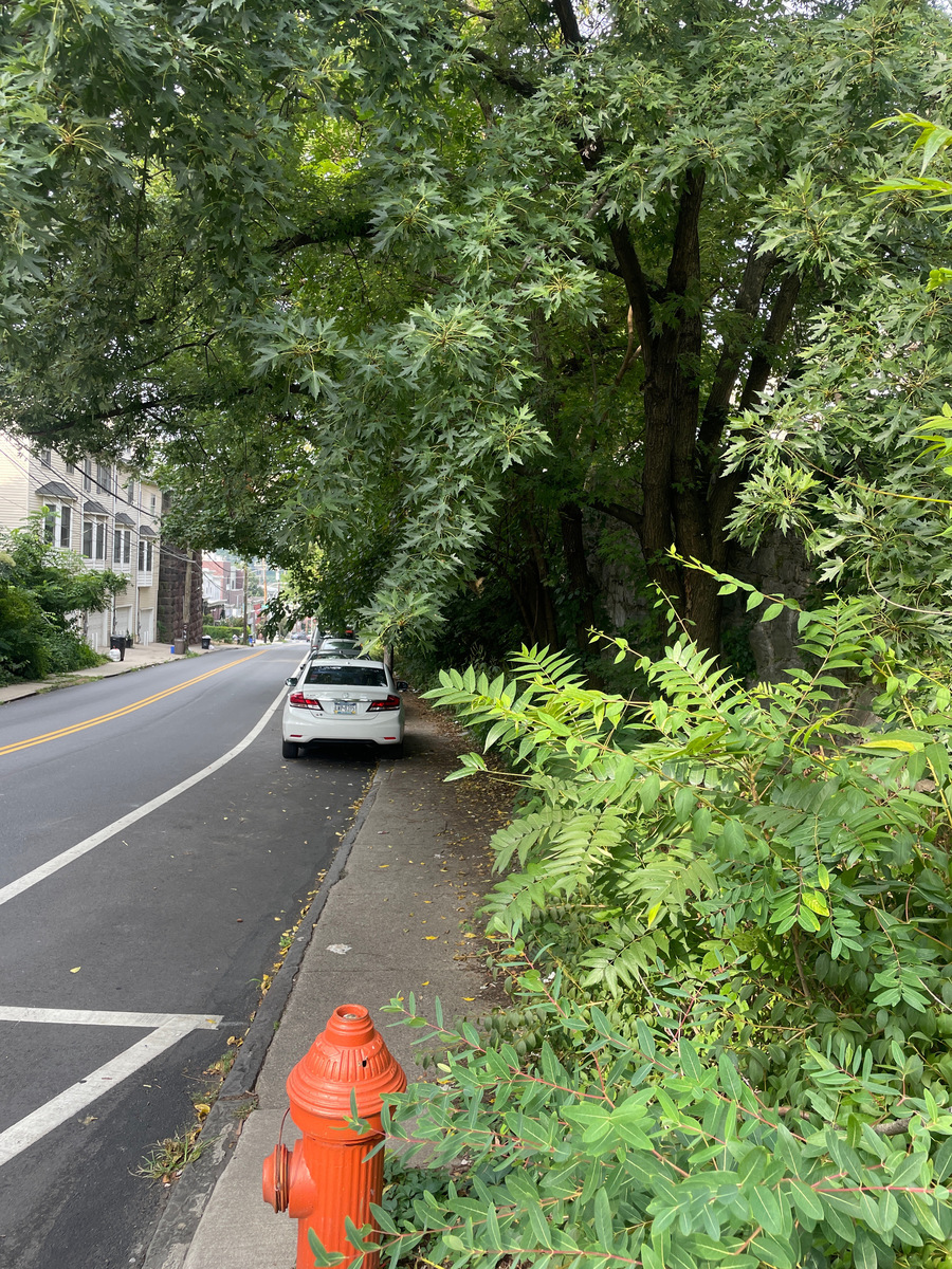 Photographic documentation of the work as submitted to the city's 311 record.