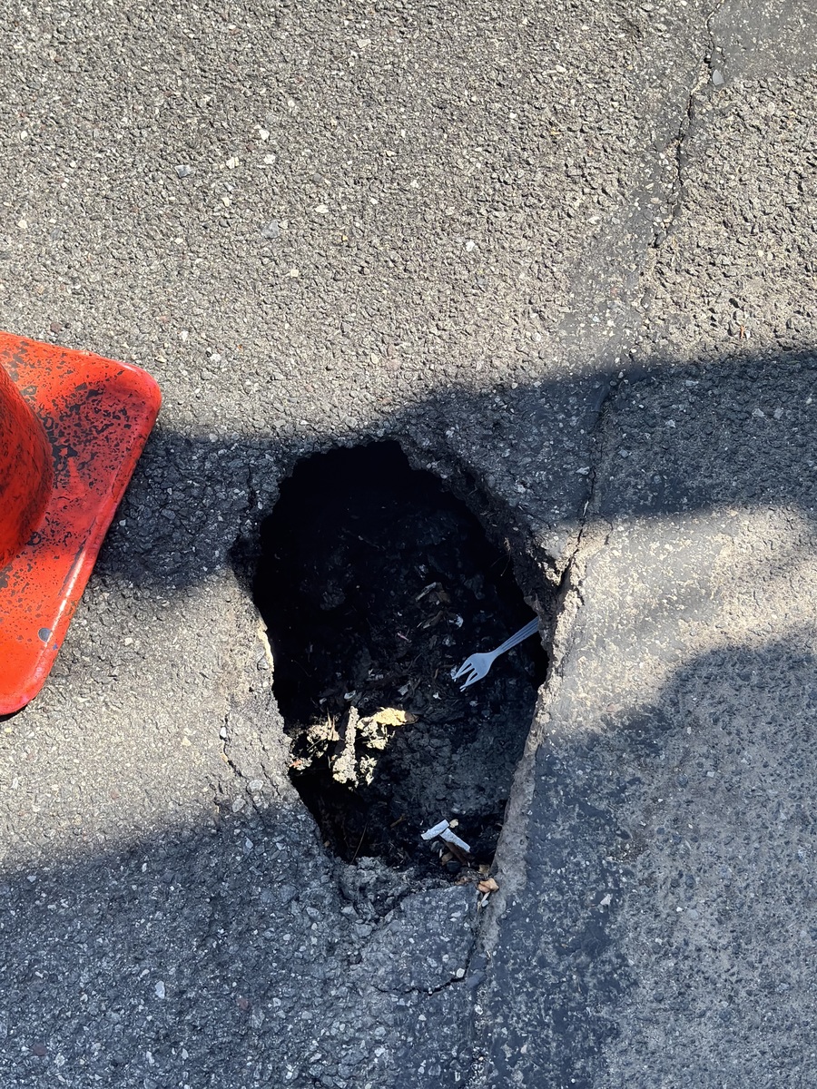 Photographic documentation of the work as submitted to the city's 311 record.