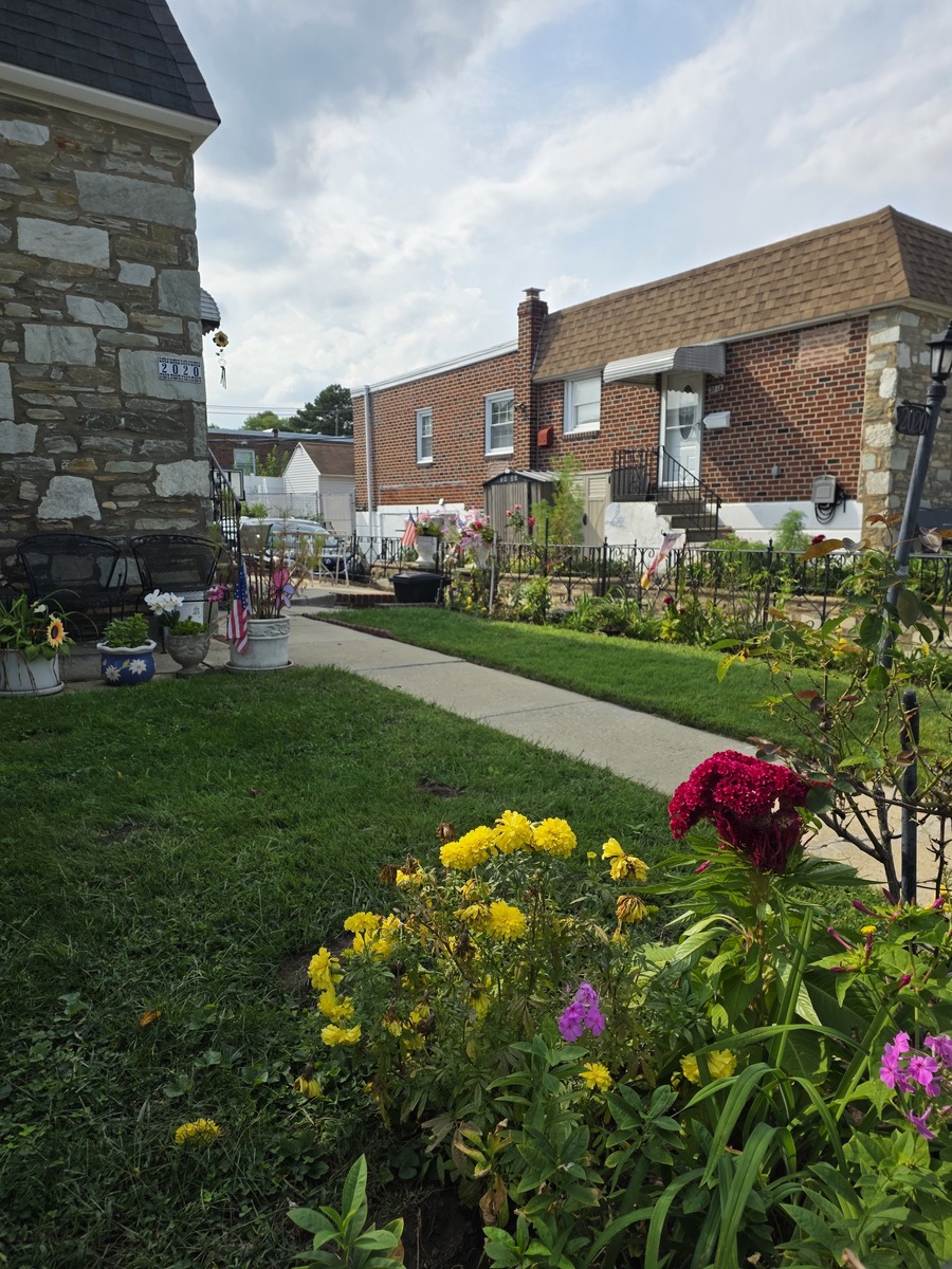 Photographic documentation of the work as submitted to the city's 311 record.