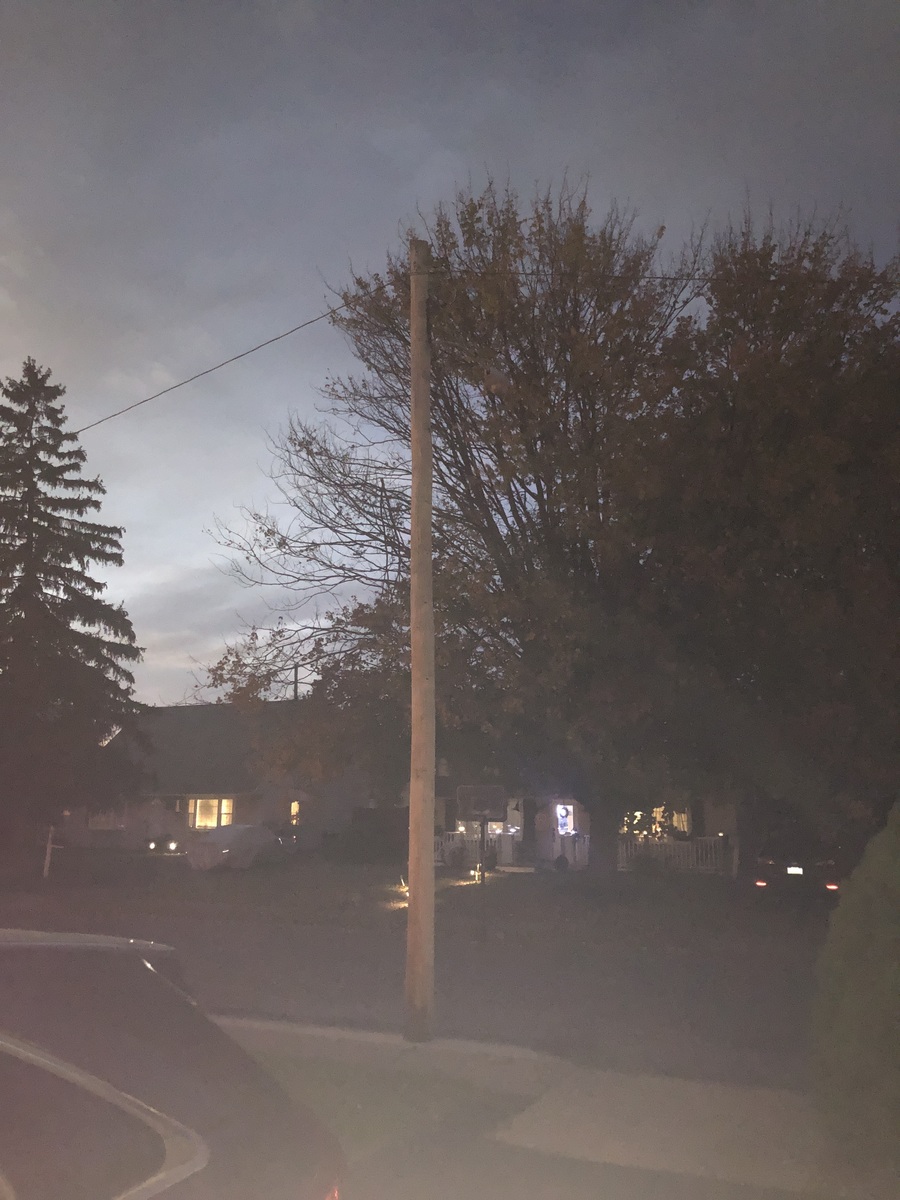 Photographic documentation of the work as submitted to the city's 311 record.