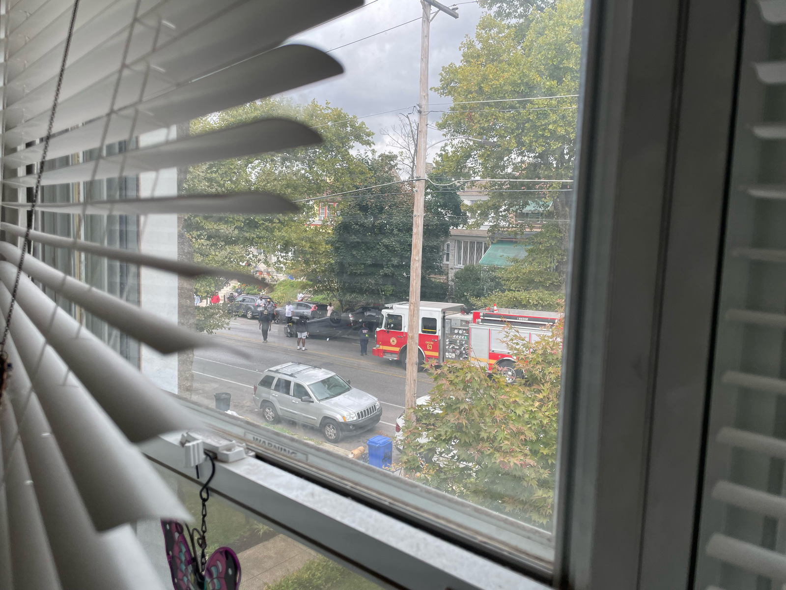 Photographic documentation of the work as submitted to the city's 311 record.