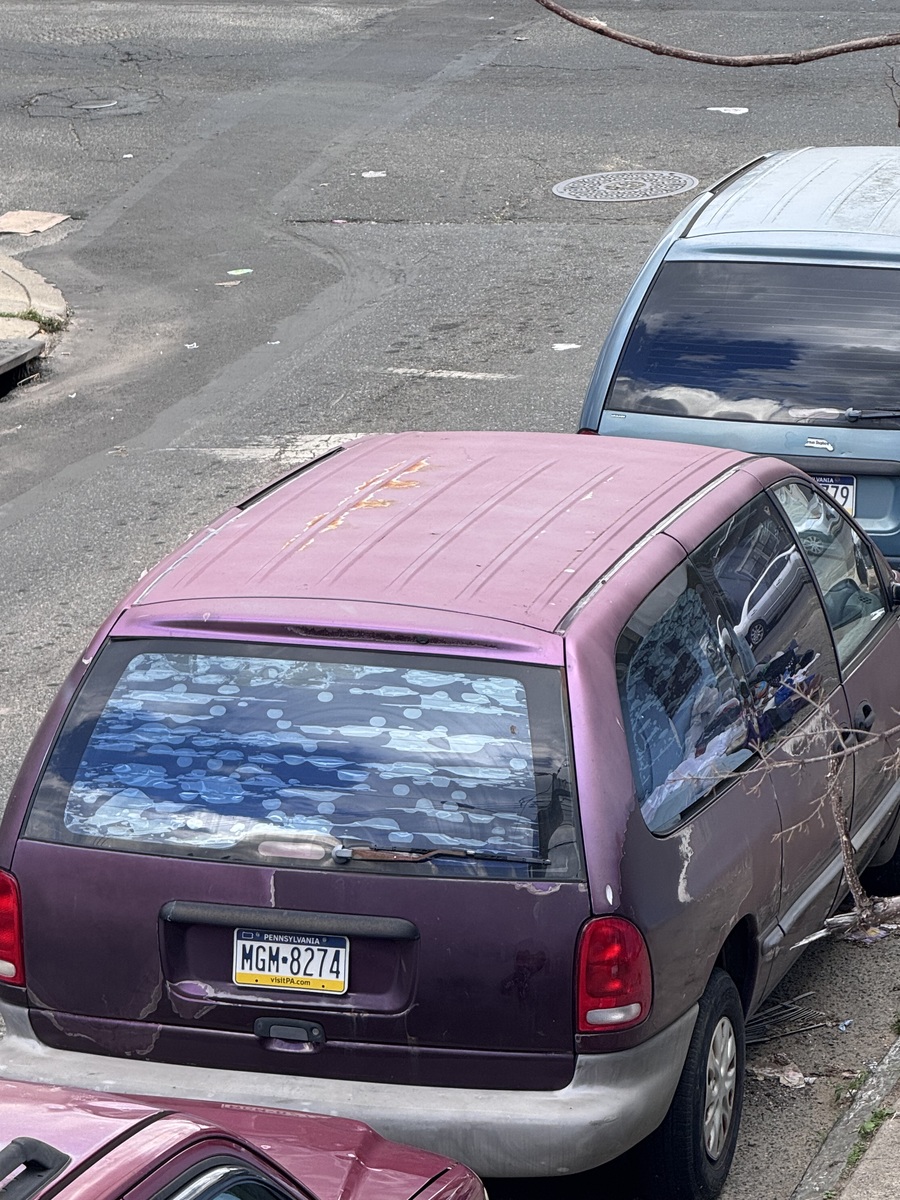 Photographic documentation of the work as submitted to the city's 311 record.