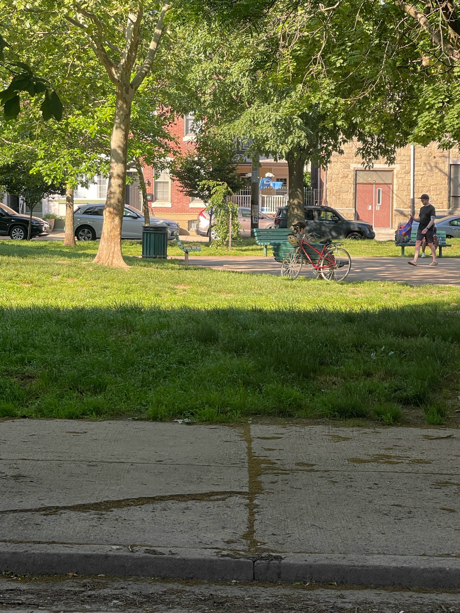 Photographic documentation of the work as submitted to the city's 311 record.