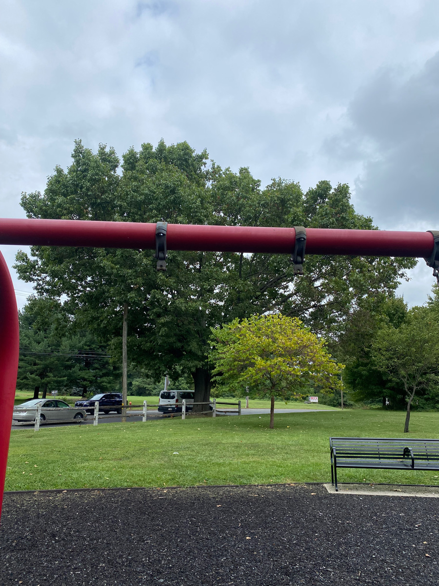 Photographic documentation of the work as submitted to the city's 311 record.