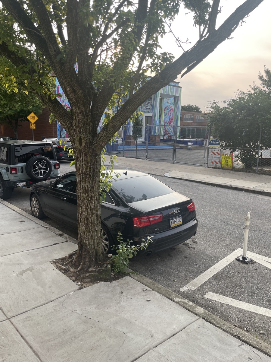Photographic documentation of the work as submitted to the city's 311 record.