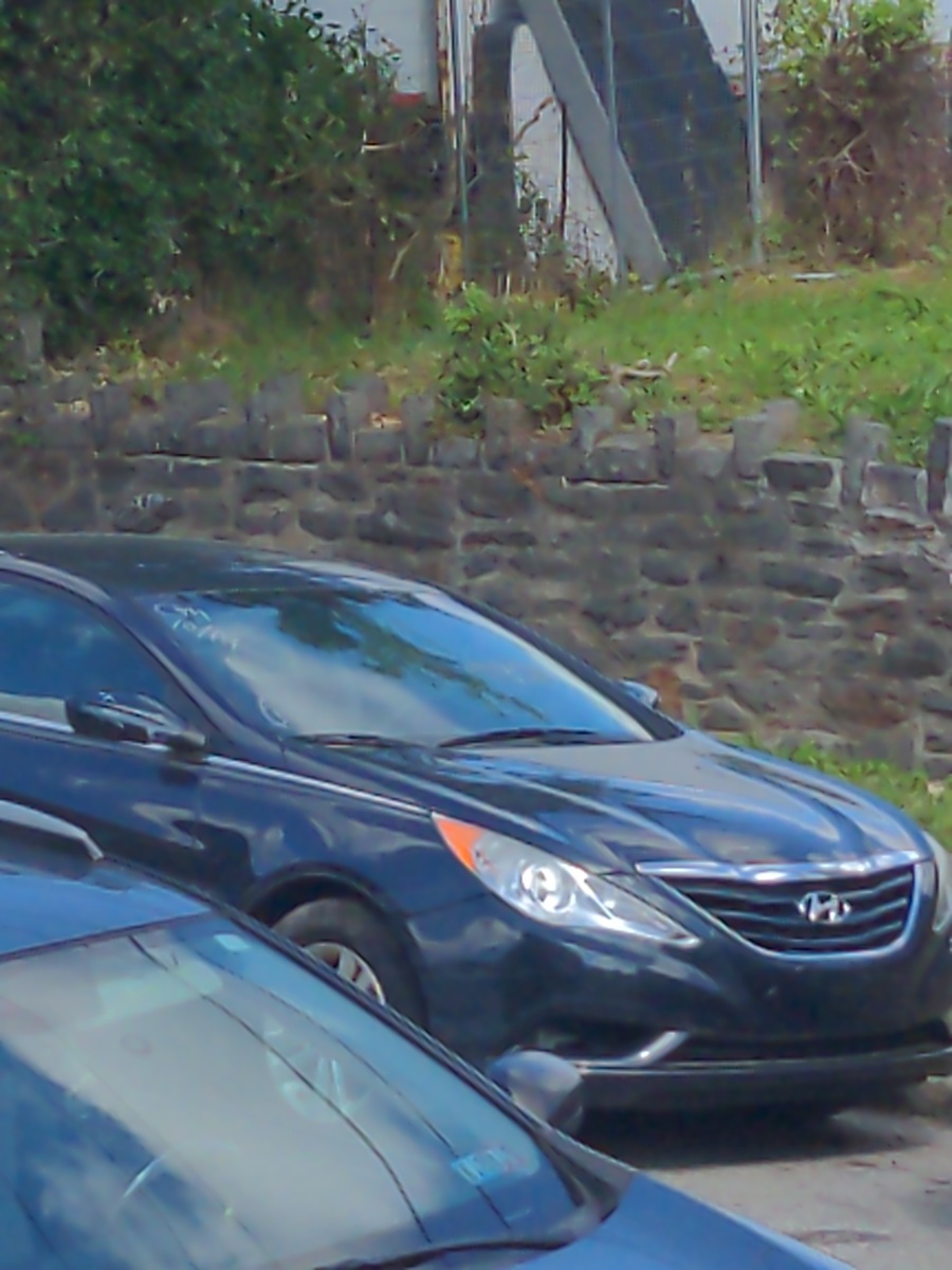 Photographic documentation of the work as submitted to the city's 311 record.
