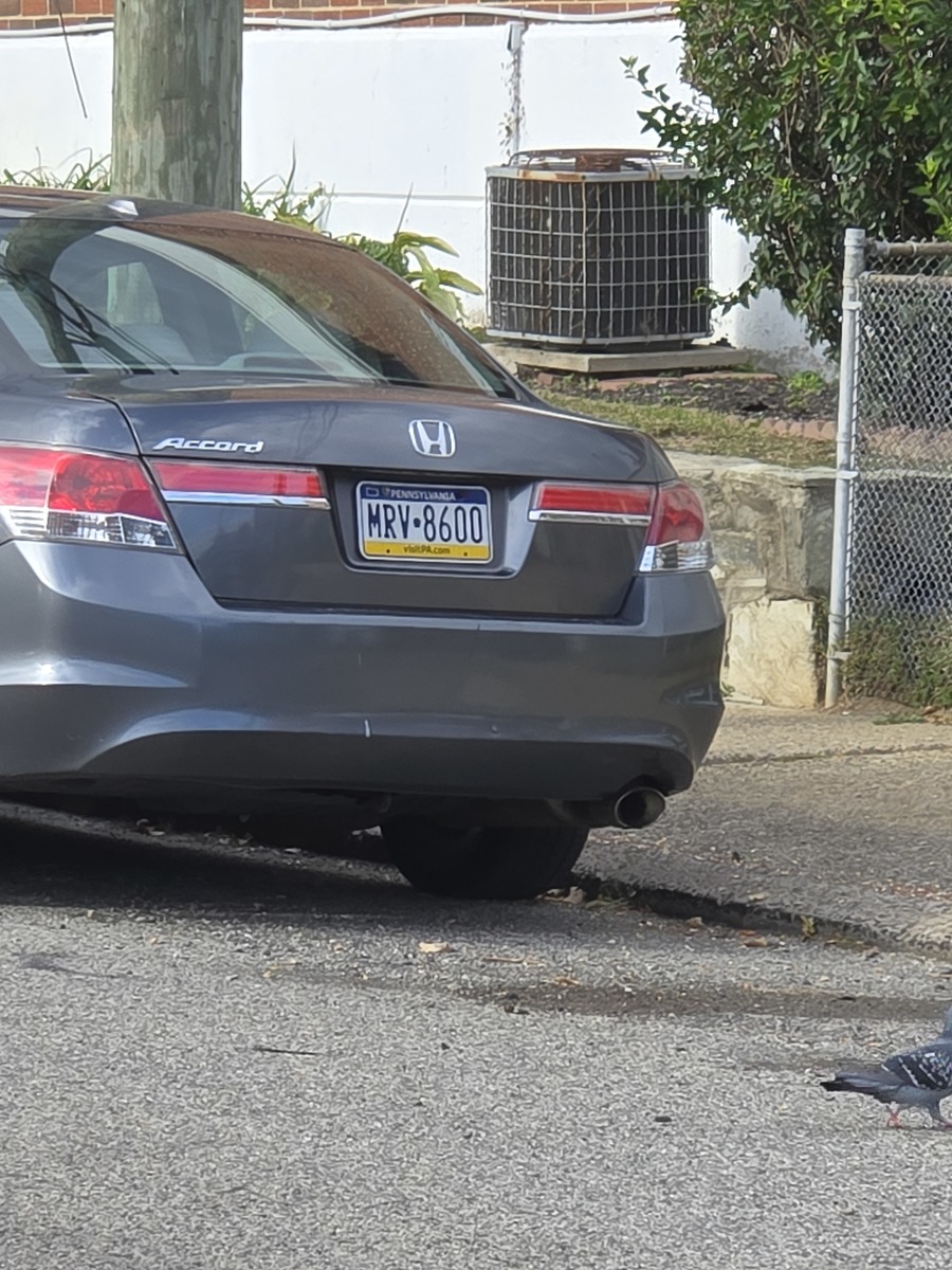 Photographic documentation of the work as submitted to the city's 311 record.