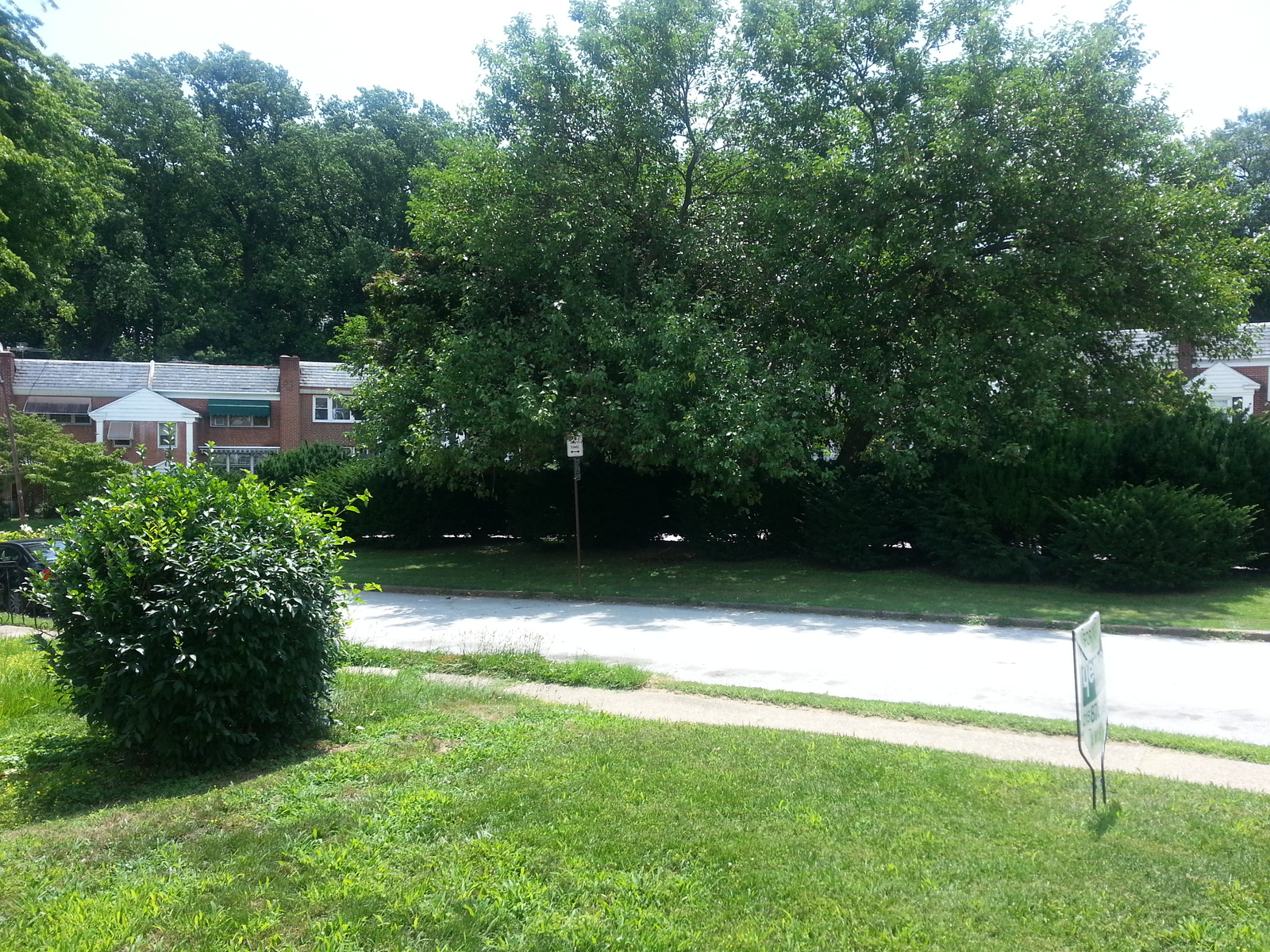 Photographic documentation of the work as submitted to the city's 311 record.