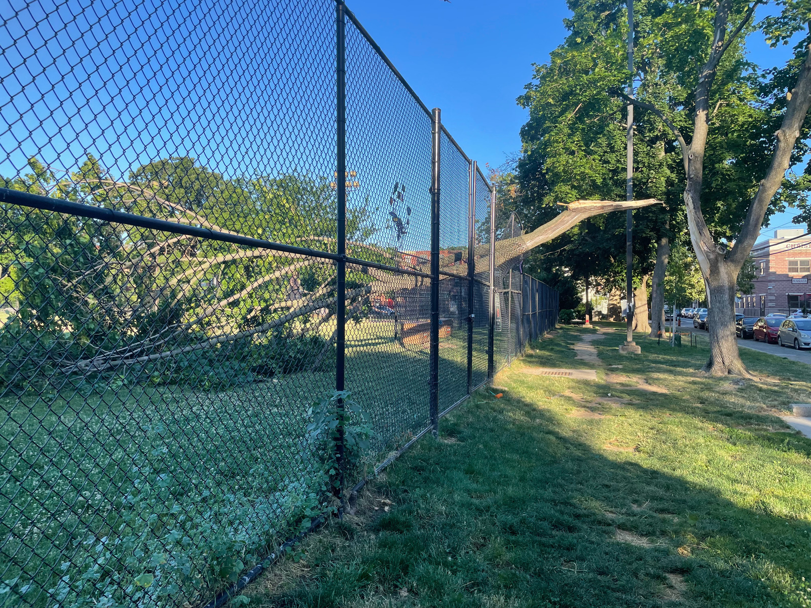 Photographic documentation of the work as submitted to the city's 311 record.