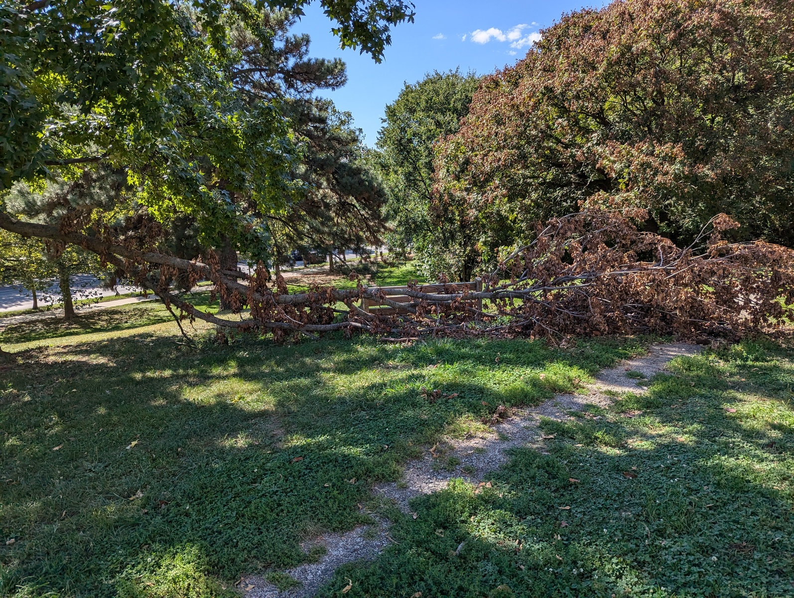 Photographic documentation of the work as submitted to the city's 311 record.