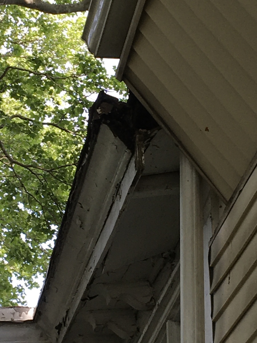 Photographic documentation of the work as submitted to the city's 311 record.